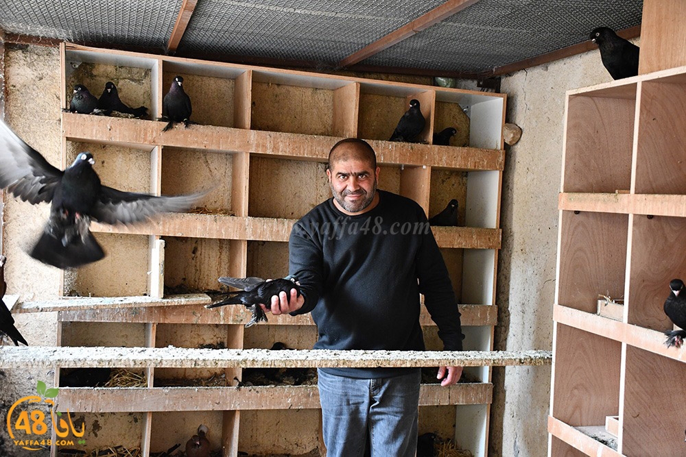 zohdi 3ashoor (1).jpeg